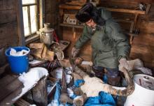 Prokopi Nogovitsyne montre le crâne d'un animal dans une cabane à l'arrière de sa maison en Iakoutie, le 27 novembre 2018