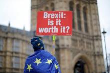 Des opposants au Brexit manifestent devant le Parlement britannique,le 14 jnavier 2019 à Londres