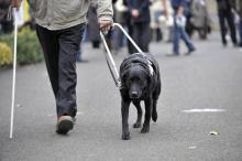 Une personne aveugle accompagnée par un chien-guide