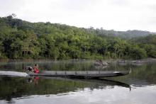 Cinq suicides et 13 tentatives de pendaison ont eu lieu en trois mois au sein de la jeune population amérindienne de l'ouest guyanais