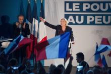 La présidente du Rassemblement national (RN), Marine Le Pen, en meeting au Thors (Vaucluse)le 19 janvier 2019, pour les élections européennes.