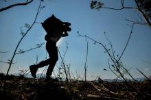 Un homme emprunte un chemin illégal pour traverser la frontière entre le Venezuela et la Colombie, le 25 février 2019 à Cucuta