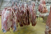 Quelque 150 kilos de viande issus d'animaux abattus frauduleusement en Pologne, sur les 795 kg écoulés en France, "ont été vendus au consommateur via notamment des boucheries"