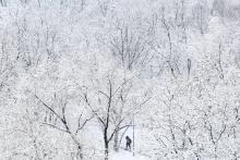 Des chutes de neige record, représentant une couche de 36 centimètres, sont tombées dans la nuit du 12 au 13 février 2019 à Moscou