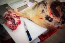 Les services sanitaires du ministère de l'Agriculture ont retrouvé "795 kilos" de viande avariée polonaise dans "neuf entreprises" du secteur agroalimentaire en France