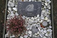 La tombe d'un chien au cimetière pour animaux Tierhimmel à Teltow (Allemagne), le 31 janvier 2019