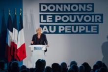 Marine Le Pen, présidente du Rassemblement national, le 19 janvier 2019 à Le Thor, près d'Avignon