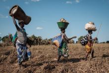 Des sinistrées du cyclone Idai rentrent dans leur village ravagé de Begaja, au Mozambique, le 26 mars 2019, après être allées chercher de quoi se nourrir