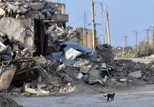Destructions dans le village de Soussa en Syrie pris au groupe jihadiste Etat islampique (EI) par une alliance arabo-kurde qui cherche à chasser l'EI de sa poche à Baghouz, un village proche, le 21 ma
