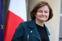 La ministre des Affaires européennes Nathalie Loiseau, le 30 janvier 2019 à l'Elysée, à Paris