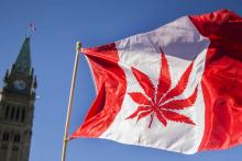 Une photo d'un drapeau aux couleurs du Canada et flanquée d'une feuille de cannabis au lieu de l'officielle feuille d'érable, le 20 avril 2016 devant le Parlement d'Ottawa
