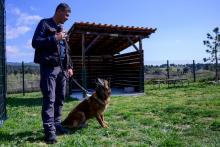 Stéphane de Mendosa et Erros, ex-chien policier, le 29 mars 2019 à Cabries (Bouches-du-Rhône)