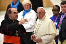 Le cardinal Philippe Barbarin avec le pape François au Vatican le 11 novembre 2016