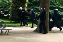 Alexandre Benalla (à capuche) et Vincent Crase (3ème en partant de la gauche), emmenent un homme, des CRS autour d'eux, dans les allées du Jardin des Plantes à Paris, le 1er mai 2018