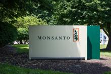 Le groupe américain Monsanto aurait secrètement fiché "des centaines de personnalités" en France en fonction de leur position sur le glyphosate