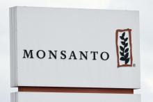Le groupe chimique allemand Bayer, propriétaire de Monsanto, a indiqué qu'il n'avait "pas connaissance" de fichiers de personnalités commandés par sa filiale et répertoriant leur position sur les pest