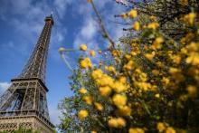 La Tour Eiffel, le 3 avril 2019 à Paris