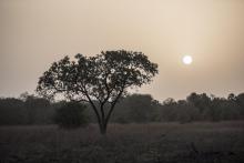 Coucher de soleil sur le parc national de la Pendjari, dans le nord du Bénin, le 11 janvier 2018
