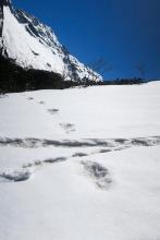 Des Indiens mesurent de larges empreintes dans la neige près du camp de base du Makalu dans l'Himalaya, sur une photo prise le 9 avril 2019 par l'armée indienne