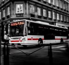 TCL, Transport en commun, Lyon, Bus