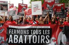 Des défenseurs des animaux et des militants végans défilent le 8 juin 2019 dans les rues de Paris à l'appel de l'association anti-viande L214