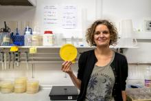 Audrey Dussutour et ses "blobs" dans son laboratoire à Toulouse, le 31 mai 2019