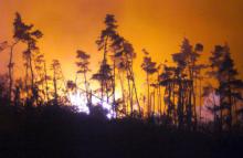 Les pompiers sont venus à bout, dans la nuit de samedi à dimanche, d'un incendie qui a brûlé environ 170 hectares de végétation en Ardèche