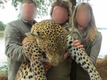 Un couple ayant abattu un léopard durant un Safari en Afrique.