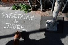 Le botaniste Boris Presseq écrit à la craie le nom d'une plante sauvage qui pousse dans les rues de Toulouse, le 29 août 2019 dans le sud de la France