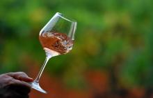 Le chiffre d'affaires des rosés de Provence a été multiplié par cinq entre 2014 et 2018