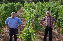 Les viticulteurs Jean-Claude Rateau (g) et Thibault Liger-Belair, le 5 septembre 2019 à Savigny-lès-Beaune, en Côte-d'Or