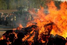 Des agriculteurs rassemblés auprès de bottes de paille incendiées le 23 septembre 2019 à Witry-les-Reims, au nord de Reims, dans le cadre d'une action "feux de la colère"