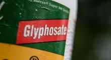 Le président PCF du Val-de-Marne Christian Favier a annoncé mardi avoir pris un arrêté bannissant l'usage de produits phytopharmaceutiques contenant du glyphosate, affirmant être le premier départemen