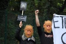 Manifestation à Niederhausbergen, à proximité de Strasbourg pour réclamer la fermeture d'un centre universitaire de primatologie, qui réalise des études sur des singes, le 20 octobre 2019