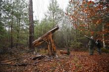Le tronc cassé d'un arbre dans la forêt de Weitbruch, dans le Bas-Rhin, le 13 décembre 2019, vingt ans après la tempête de décembre 1999
