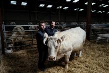 Jean-Marie Goujat (d) et son frère Laurent avec leur vache Idéale, le 27 janvier 2020 dans leur ferme de Cours-la-Ville, dans le Rhône