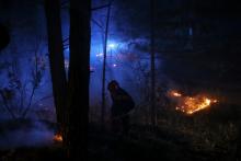 Un pompier travaillant à éteindre les flammes brûlant la végétation près du village de Sari à Sari-Solenzara en Corse, photo du 11 février 2020