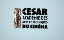 La direction des César a annoncé jeudi soir sa "démission collective", à 15 jours de la prochaine cérémonie annuelle