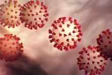 Image d'illustration du nouveau coronavirus