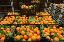 Le marché de gros de Rungis ouvre le 30 mars un site de vente en ligne de produits alimentaires frais, dans un premier temps réservé aux consommateurs de Paris et de la petite couronne, afin de pallie