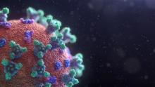 Coronavirus: la bombe à retardement des tests faux négatifs