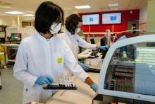 Des techniciennes manipulent des échantillons de sang pour des tests au Covid-19 au laboratoire d'analyses LPA, le 29 mai 2020 à Besançon