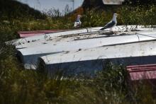Des goélands posés sur des bateaux à terre, le 18 mai 2020 à l'école de voile des Glénans, au large de Fouesnant, dans le Finistère
