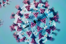 Trois cas de coronavirus ont été détectés à la cité judiciaire de Nancy, de nouveau contrainte à réduire fortement ses activités