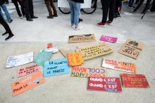 Revendications lors d'une manifestation pour le climat, le 14 mars 2020 à Bordeaux