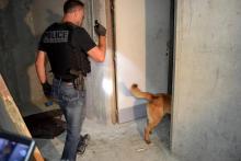Des policiers et leur chien recherchent des armes et de la drogue dans un immeuble du quartier des Grésilles, le 19 juin 2020 à Dijon