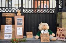 Un ours en peluche déposé devant la préfecture de l'Ariège à Foix, le 20 juin 2020, pour rendre hommage au plantigrade tué par arme à feu dans les Pyrénées le 9 juin