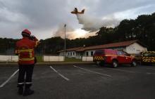 Un avion bombardier d'eau canadair de la Securité civile survole la forêt de Chiberta à Anglet dans les Pyrénées-Atlantiques, le 30 juillet 2020