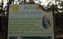 L'entrée de la forêt Chiberta à Anglet (Pyrénées-Atlantiques), le 31 juillet 2020