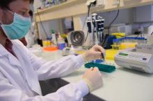 Un biologiste travaille sur un test salivaire "rapide" EasyCov, développé par le laboratoire Sys2Diag, le 30 avril 2020 à Montpellier